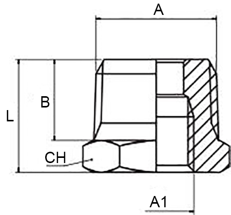 Schema riduttore Aignep 2080