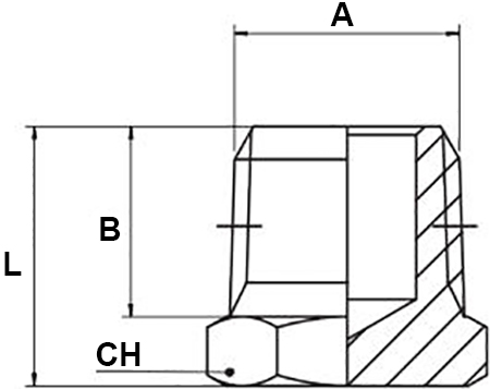 Schema tappo Aignep 3021