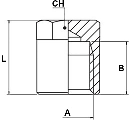 Schema tappo Aignep 3030