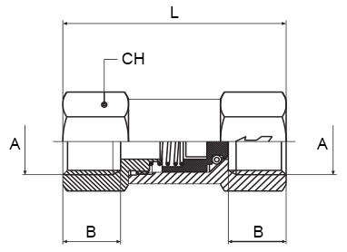 Schema valvola Aignep 6062