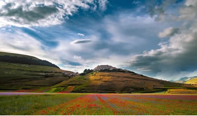  Vista altopiano fiorito Castelluccio di Norcia